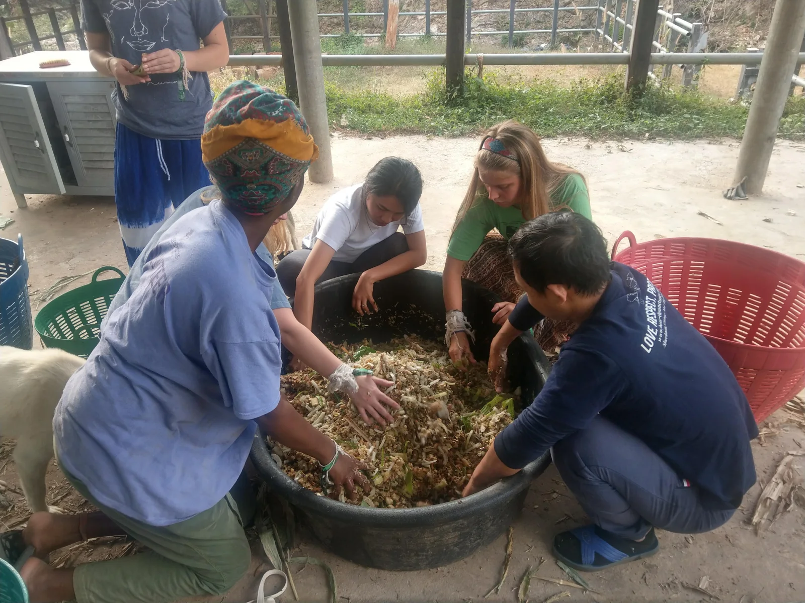 Participants and local people working together around a large container of plant material