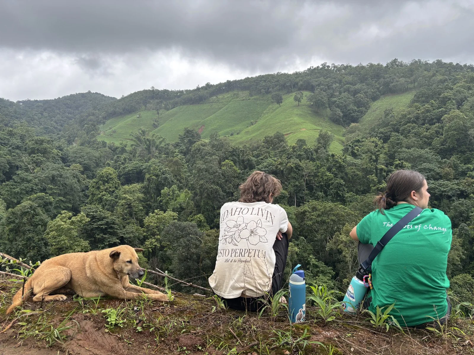 Participants taking in the green hills of Northern Thailand together